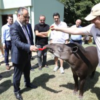 Bursa Zoopark, ‘zebra’daki konumunu güçlendirdi  