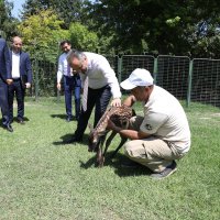 Bursa Zoopark, ‘zebra’daki konumunu güçlendirdi  