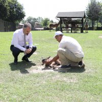 Bursa Zoopark, ‘zebra’daki konumunu güçlendirdi  