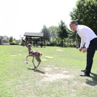Bursa Zoopark, ‘zebra’daki konumunu güçlendirdi  