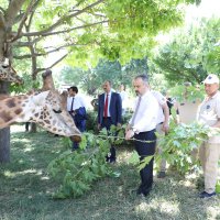 Bursa Zoopark, ‘zebra’daki konumunu güçlendirdi  
