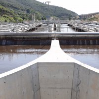 Gemlik Körfezi hayat buluyor 