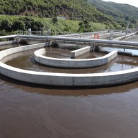 Gemlik Körfezi hayat buluyor 