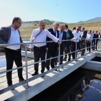 Gemlik Körfezi hayat buluyor 