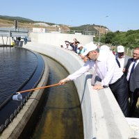 Gemlik Körfezi hayat buluyor 