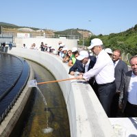 Gemlik Körfezi hayat buluyor 