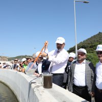 Gemlik Körfezi hayat buluyor 