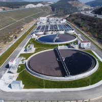 Gemlik Körfezi hayat buluyor 