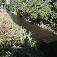 Gemlik Büyükşehir ile daha da güzelleşiyor 