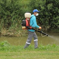 Haşereyle kesintisiz mücadele 