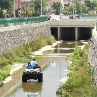 Haşereyle kesintisiz mücadele 