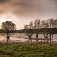 Dağyenice turizme kazandırılıyor  