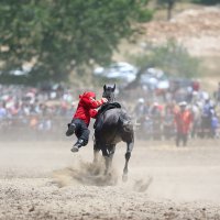 Ata sporları ile görsel şölen başlıyor 