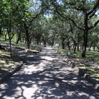 Teoman Özalp Parkı’nda dönüşüm başlıyor 