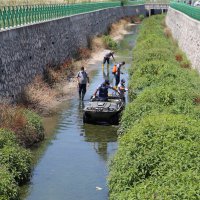 Haşereyle mücadele sürüyor 