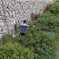 Haşereyle mücadele sürüyor 