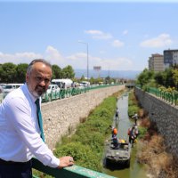 Haşereyle mücadele sürüyor 