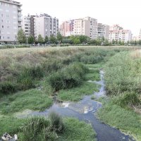 Ayvalıdere Nilüfer'e yakışacak 