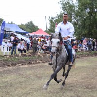  Rahvan atları ‘15 Temmuz’ için yarıştı 