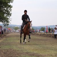 Rahvan atları ‘15 Temmuz’ için yarıştı 