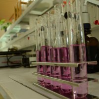 BUSKİ laboratuvarları başarılarına bir yenisini daha ekledi 