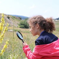 Zirvede bilimsel şölen 