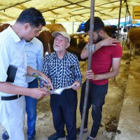 Kurban pazarlarında sinekle mücadele  