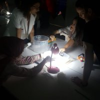 BTM’den öğretmenlere bilimsel destek  