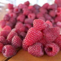  Üreticiye destek meyvelerini verdi 