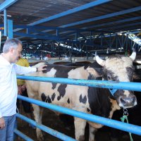 ‘Kurban Bayramı’nda çevre hassasiyeti 