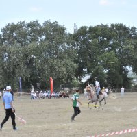 Atlı sporda Bursa farkı  