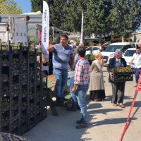 Mezarlık ziyaretçilerine ücretsiz fidan ve çiçek  