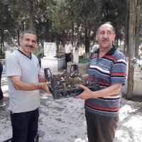 Mezarlık ziyaretçilerine ücretsiz fidan ve çiçek  