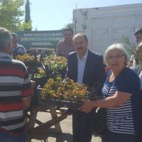 Mezarlık ziyaretçilerine ücretsiz fidan ve çiçek  