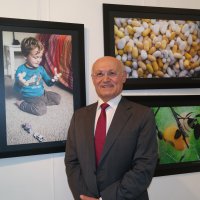 İpek Böceğinin yaşam öyküsü ABD’de 