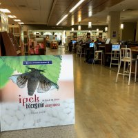 İpek Böceğinin yaşam öyküsü ABD’de 