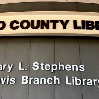 İpek Böceğinin yaşam öyküsü ABD’de 