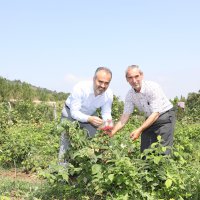Çiftçinin alın teri dövize dönüşüyor 