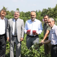 Çiftçinin alın teri dövize dönüşüyor 