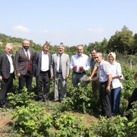 Çiftçinin alın teri dövize dönüşüyor 