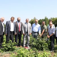 Çiftçinin alın teri dövize dönüşüyor 