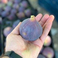  Bursa’nın incisi dünya pazarında 