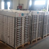  Bursa’nın incisi dünya pazarında 