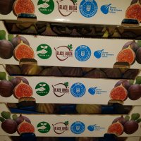  Bursa’nın incisi dünya pazarında 