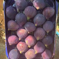  Bursa’nın incisi dünya pazarında 