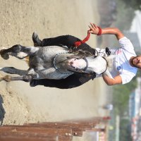 Rahvan atlarının ‘Zafer’ koşusu  