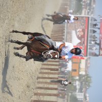 Rahvan atlarının ‘Zafer’ koşusu  