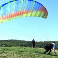 Uçtu uçtu zabıta uçtu 