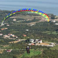 Uçtu uçtu zabıta uçtu 