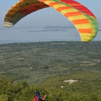 Uçtu uçtu zabıta uçtu 